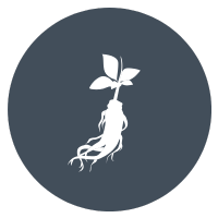 Ibogaine